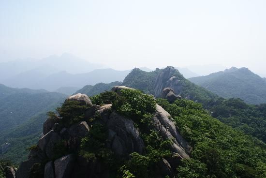 Hutan Yang Bisa Dijadikan Rekomendasi Rekreasi di Korea Selatan