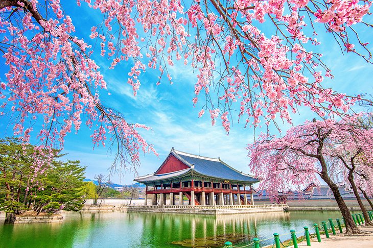18 Tempat Wisata Terbaik di Korea Selatan (2)