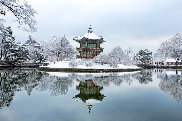 Kegiatan Menarik yang Dapat Dilakukan Saat Musim Dingin di Korea