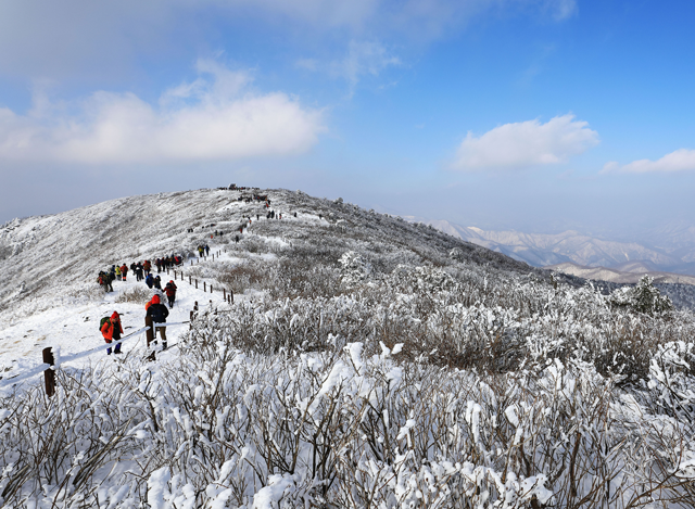 Menaklukkan Rute Petualangan Pendakian Terbaik di Korea