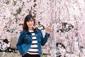 Menikmati Keindahan Bunga Sakura di Musim Semi Korea