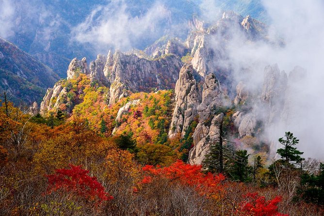 Petualangan Ekstrem Outdoors di Pegunungan Korea