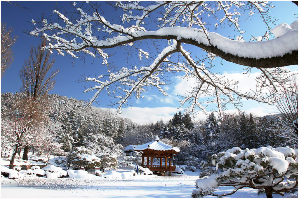 Rekreasi Musim Dingin di Korea Menyusuri Destinasi Bersalju